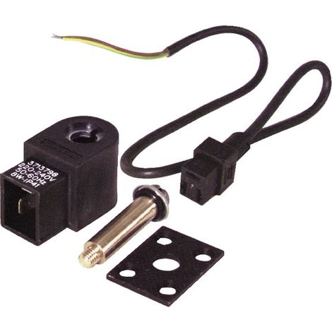 Elettrovalvola pompa AL 220V