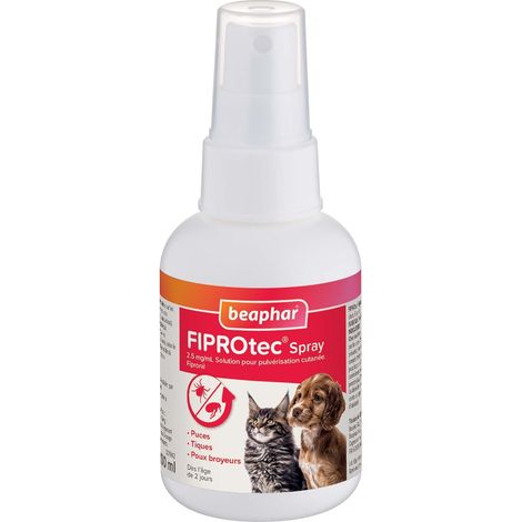 Spray Solution pour pulvérisation cutanée pour Chiens et Chats au Fipronil dosé à 2,5 MG/ML - Agit Contre Les puces, Les tiques et Les poux broyeurs - Flacon de 100 ML