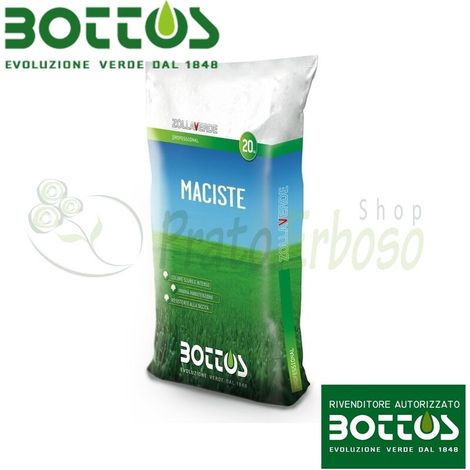 Maciste - Semillas para césped de 20 Kg