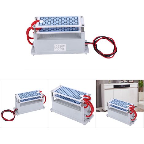 Générateur d'Ozone Intégré 10g 220V - Purificateur d'Air Maison Élimine Odeurs (1/5)