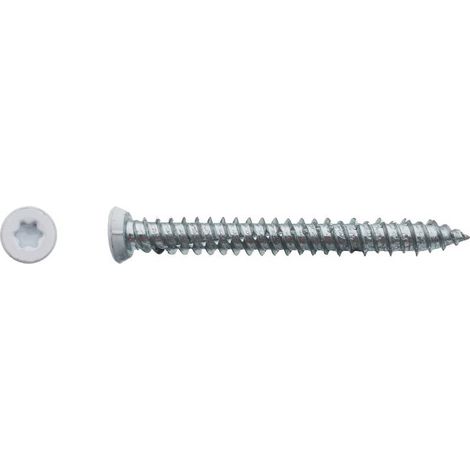 100 Vis Béton d'Ancrage Tête Fraisée Torx T30 7.5 x 102 mm - Zingué Laqué Blanc - D-Work
