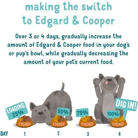 Edgard & Cooper Dry food for Dogs in Salmon 2.5kg - 267329 (1/4)