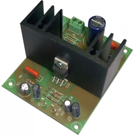 Módulo Etapa Potencia Mono 15W