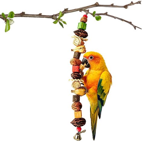 fourrageurs pour Oiseaux Perchoir Lime-Bec 60 cm  Jouet Perroquet En Bois Naturel, Épis De Maïs, Bloc De Noix Et Corde Pour Escalade Exploration Cage Aire De x (1/5)