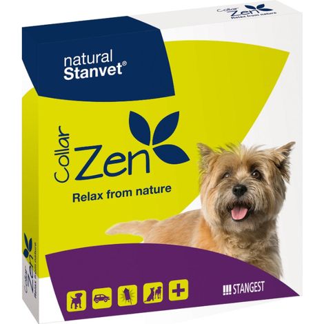 Cani zen collari piМ stanghi