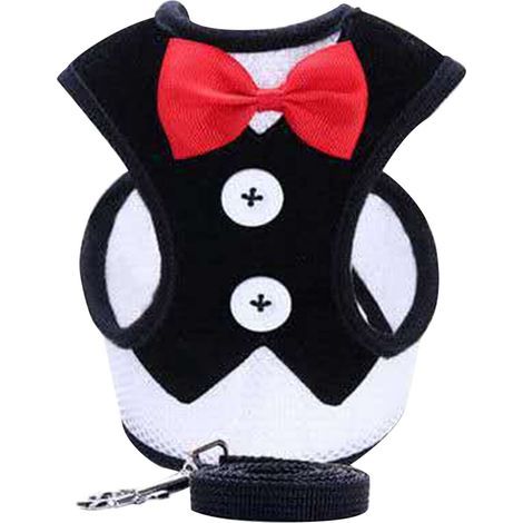 Dog Harness and Leash with Bow Tie – Comfortable, Durable and Breathable Set for Walks (Size L, Black) (1/5)