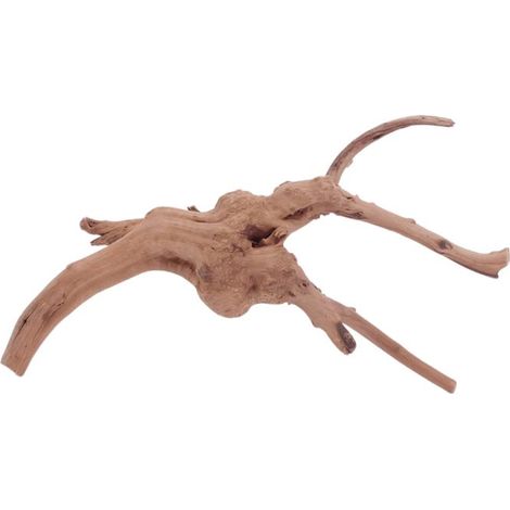 M Moorkienwurzel Nr.4427 Holz Deko Aquascaping