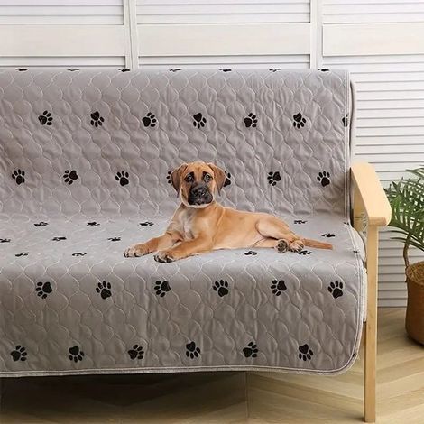 Réveil numérique à double alarme – Volume et luminosité réglables – Écran LED multicolore avec veilleuse – Fonction snooze et sauvegarde de la mémoire – Noir (1/5)