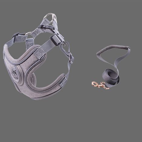 GARRYFIZH Harnais Réfléchissant pour Petit Chien – Avec Laisse de 1.5m, Respirant et Confortable pour Promenade Quotidienne (Gris) (1/5)
