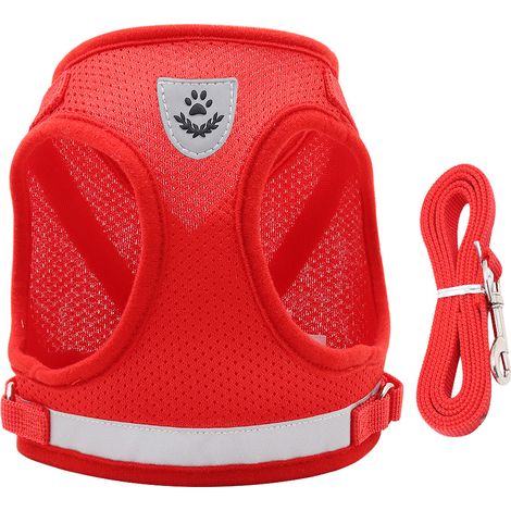 Harnais pour chat réglable avec laisse – Gilet réfléchissant – Confortable et léger – Ajustement parfait pour promenade en toute sécurité (1/5)