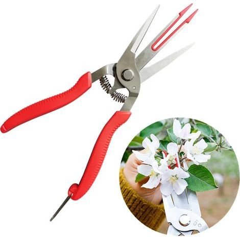 Doppelschneidige Apfel- und Kiwi-Pflanzschere, schlankes Design, Gartenhandwerkzeug