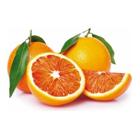 Vivaio Garden Forest – Plante d'agrumes Arancio Tarocco scirè en phytocells – Fruits sphériques juteux, chair orange et stries rouges – Mûrissement progressif jusqu'à fin printemps