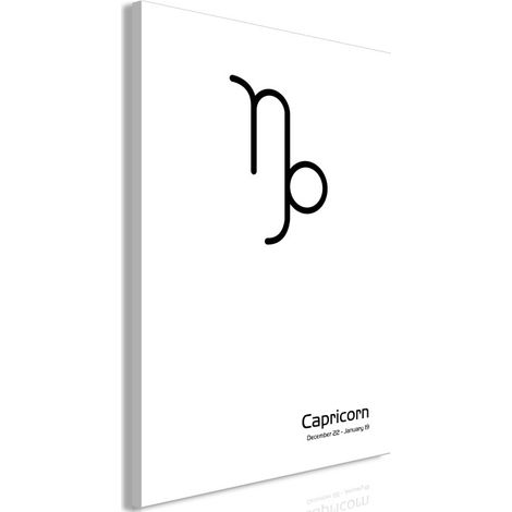 Tableau Imprimé "Capricorn" 60 x 90 cm (1/2)