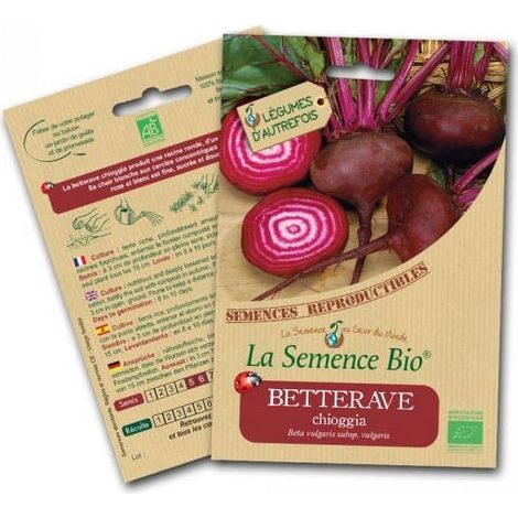 Graines Bio - Betterave chioggia - Semence biologique