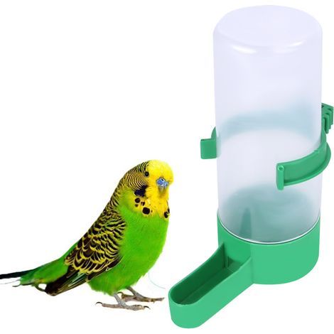 Mangeoire automatique pour oiseaux et perroquet à longue queue en 2 parties (1/3)