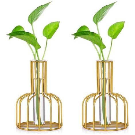 BUNTHAUS Station De Propagation en Verre avec Cadre en Métal, Lot De 2 Vase à Fleurs, Vase à Tube à Essai pour Plante Hydroponique, Petit Vase à Bourgeon pour Décoration De Table De Bureau
