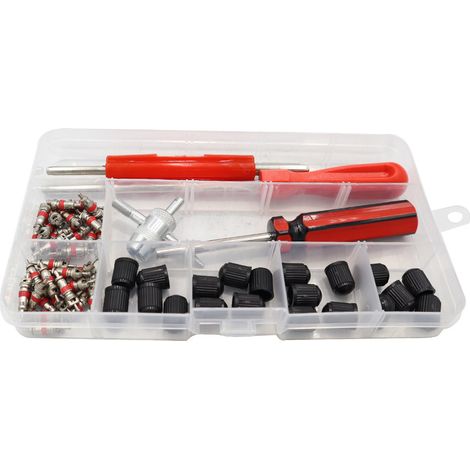 Kit de réparation de valves de pneu : 40 obus de valve, outil d'extraction d'obus à tête simple, outil 4-en-1, outil pour valves à double tête. (1/5)