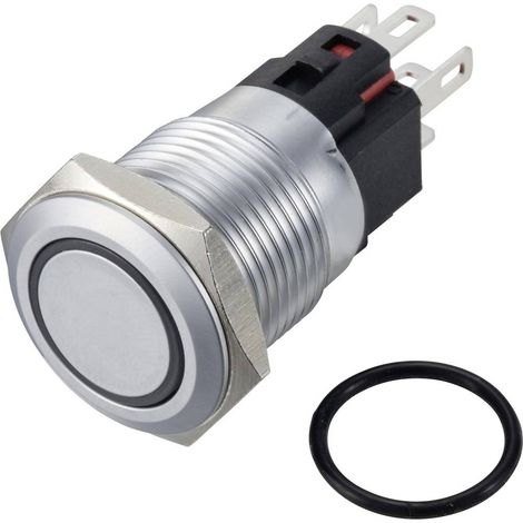 TRU COMPONENTS TC-12647512 Pulsante 250 V/AC 3 A 1x Off / (On) IP65 Verde Momentaneo Ottone cromato 1 pz.