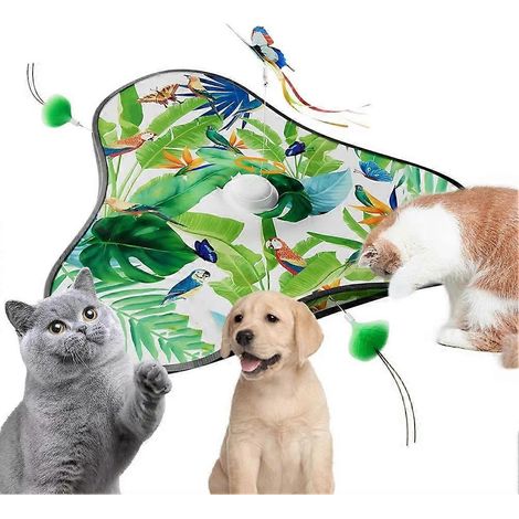 Jouet interactif pour chat 2 en 1 à roulettes, jeu automatique pour animaux de compagnie, jouet automatique pour chat pour le jeu à la maison et à l'extérieur, entraînement A (1/5)