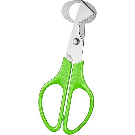 Ciseaux à Oeufs de Caille,Acier Inoxydable Caille Ciseaux,MéTal Oeuf Shell Cutter,pour la Cuisine à Domicile Petit Caille Oeuf (1/5)
