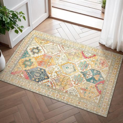 Tapis Entree Interieur Vintage 60x90cm Lavable en Machine (1/5)