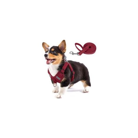 Hundegeschirr aus weichem Wildleder, Hundeweste mit verstellbarem und reflektierendem Schrittgurt, Anti-Zug-Geschirr für Welpen und kleine bis mittelgroße Hunde - Crezuo