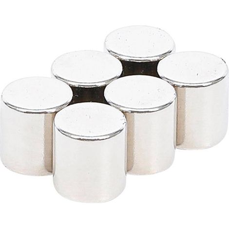 Jeu d'Aimants Extrapuissants D.9,5 mm - 6 pcs - Forte Adhérence et Polyvalence, Pro - D-Work