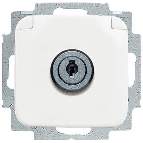 Busch-Jaeger Inserto presa SCHUKO® con coperchio a cerniera e chiusura uguale bianco alpino - Reflex SI (20 EUKSL-214-101), 2CKA002018A1479