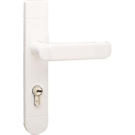 Charnière carrée américaine non percée 4254 100x 100 mm - MONIN (1/2)