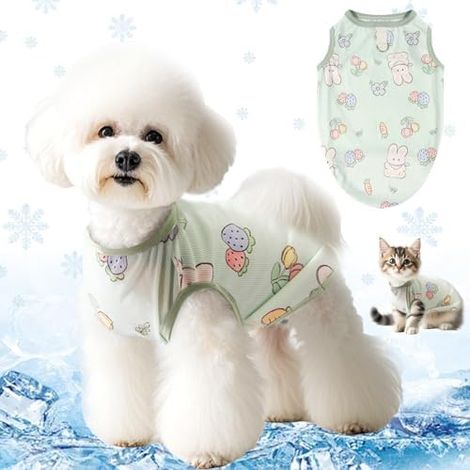Gilet Refroidissant Chien Ete, Respirant, Frais, Confort, Ete, Animal, Compagnie, Pet (1/5)