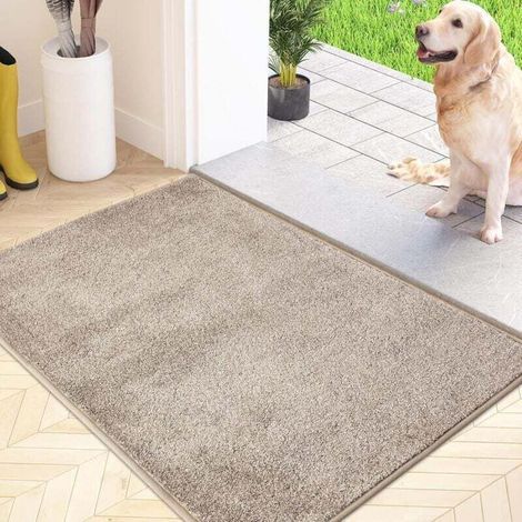 Paillasson Attrape-Poussière, Tapis de Sol Antidérapant Lavable en Machine, Tapis d'Entrée avec Microfibres Douces Absorbantes pour Chien, Entrée, Porte et Couloir, Beige, 50 x 80 cm (1/4)