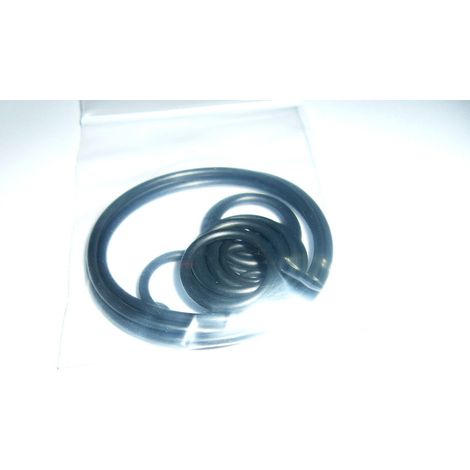 KIT ORING GUARNIZIONI POMPA IDROPULITRICE ANNOVI REVERBERI RRA RR RRV