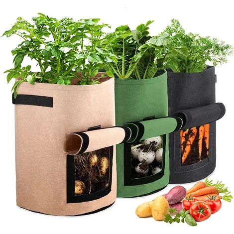 Support pour plantes à roulettes, robuste et mobile, en Fo (1/5)