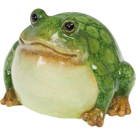 Amadeus - Grenouille Rainette