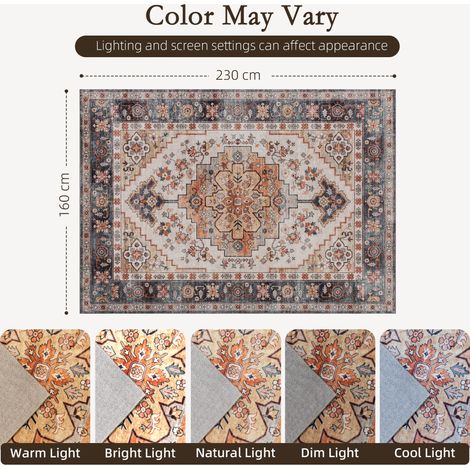 Tapis bohème avec envers antidérapant, lavable, à poils courts, pour salon et chambre, 230 x 160 cm, marron (1/5)