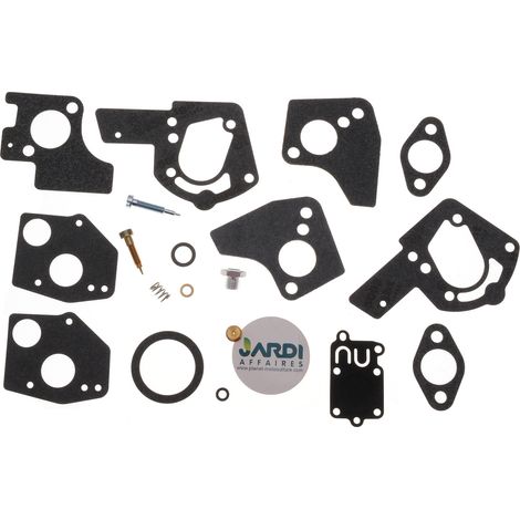 Kit réparation carburateur compatible avec Briggs Stratton remplace 495606 (1/3)
