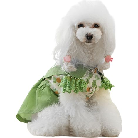 1 robe pour chien, motif carottes et feuilles, en coton respirant, avec dentelle et pompons, pour chiens et chats petits à grands (1/5)