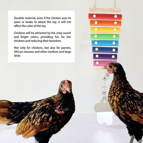 Xylophone Pour Poulets - Bois Et Métal - Jouet Sonore Suspendu Pour Volailles Et Oiseaux - 23.5 X 12.5 Cm - 1 Pièce (1/5)