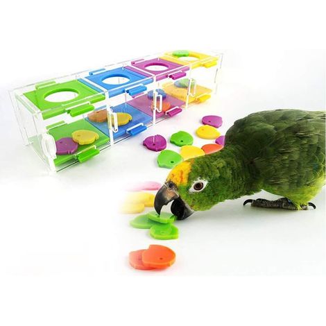 Jouet d'Intelligence pour Perroquet et Oiseau - Distributeur de Nourriture Interactif et Éducatif
