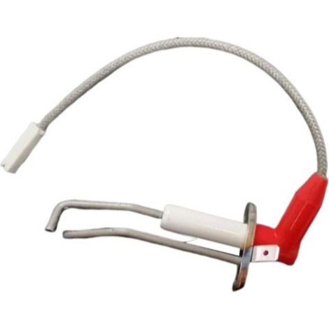 Electrodos Remeha Avanta Fagor FC2424