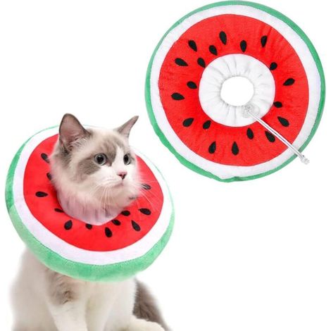 Collerettes pour Chats Chiens Collier de Protection Confort Ajustable Collerette de Postopératoire Récupération Anti-Morsure Protection (Pastèque, M) (1/4)
