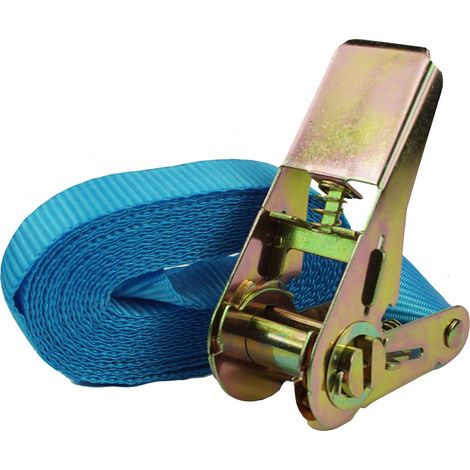 Profi Ratschen Spanngurt Spanngurte Zurrgurt 1-tlg 4m 0,8t 0,8to 800kg TÜV/GS BLAU