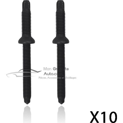 Vis colonnette injecteur x10 - Pièce d'origine réf: 198283 - PSA