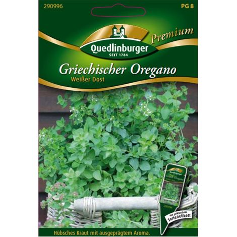 Quedlinburger Griechischer Oregano Weißer Dost - Premium Kräutersamen (1/2)