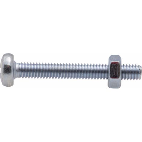 Vis à métaux zinguée tête cylindrique bombée PZ cruciforme Viswood Ø 4x20 mm (lot de 12 vis+écrou)