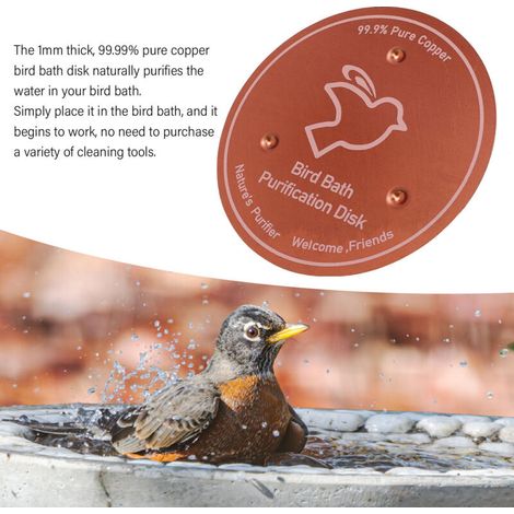 Disque de Purification pour Bassins d'Oiseaux - Purificateur d'eau en Cuivre 99.99% - 1mm d'épaisseur - Triple Support Stable - Pour tout usage saisonnier. (1/4)
