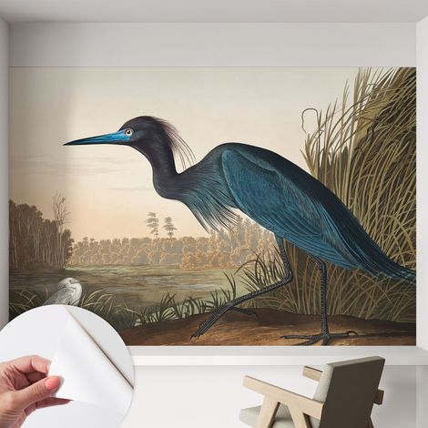 Papier peint adhésif décoratif pour salon chambre et cuisine Facile à poser avec colle Oiseaux aquatiques 152x104 cm (1/5)