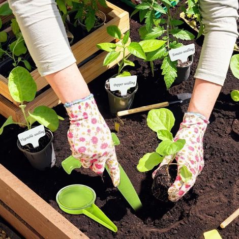 Plantoir de Jardin, 12pcs Outil Jardinage Plantoir, Plantoir Jardinage, Distributeur de Graines, Etiquette Semis, Succulentes des Plantes de Jardin (1/3)