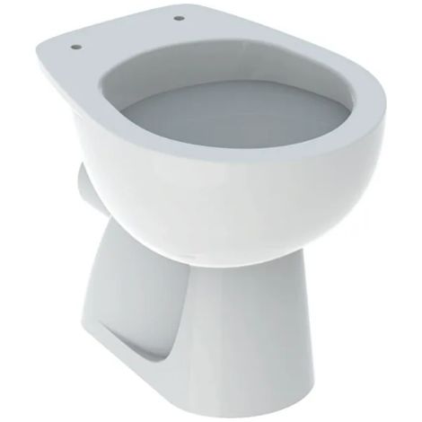Vaso a pavimento 36x47 cm bianco lucido - Geberit Colibrì - sedile con chiusura normale - Accessorio: Senza sedile (1/5)