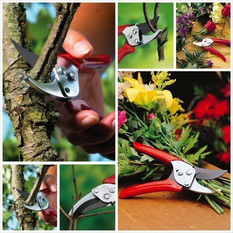 WOLF-Garten 73AFA008650 RR-EN Forbici da giardino Bypass (1/4)